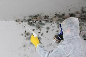 Best Mold Documentation for Insurance Claims  in Columbia Heights, MN